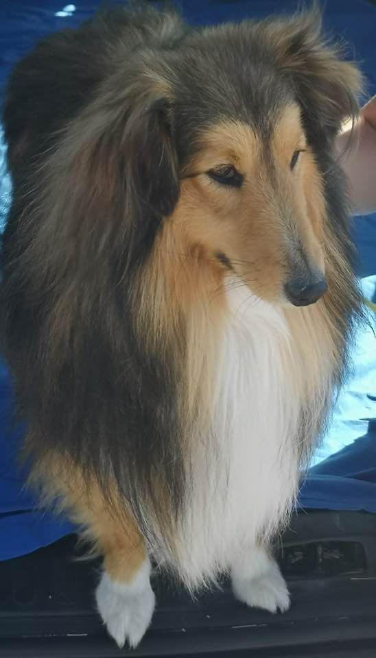 Olympe (Sans Affixe)